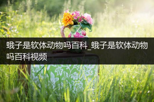 蛾子是软体动物吗百科_蛾子是软体动物吗百科视频