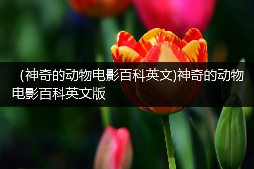 （神奇的动物电影百科英文)神奇的动物电影百科英文版