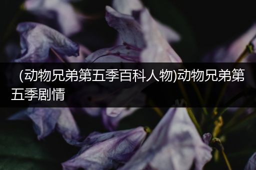 （动物兄弟第五季百科人物)动物兄弟第五季剧情