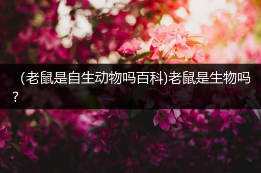 （老鼠是自生动物吗百科)老鼠是生物吗?