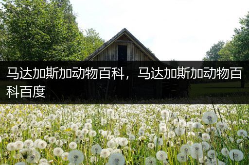马达加斯加动物百科，马达加斯加动物百科百度