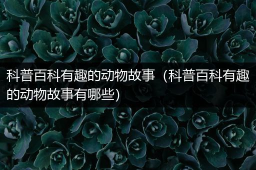 科普百科有趣的动物故事（科普百科有趣的动物故事有哪些）