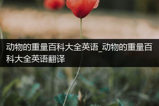 动物的重量百科大全英语_动物的重量百科大全英语翻译