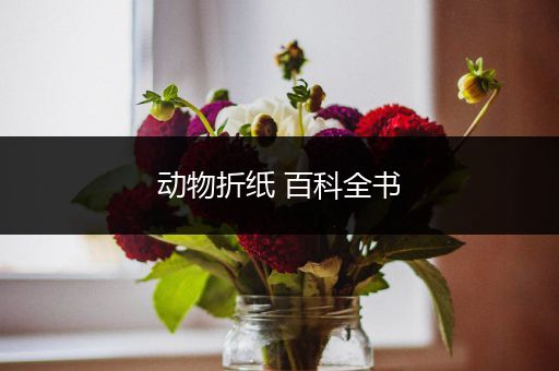 动物折纸 百科全书