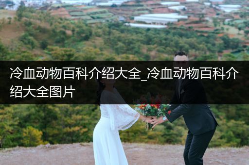 冷血动物百科介绍大全_冷血动物百科介绍大全图片