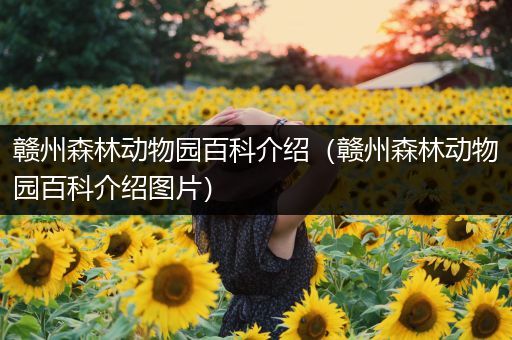 赣州森林动物园百科介绍（赣州森林动物园百科介绍图片）