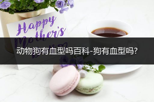 动物狗有血型吗百科-狗有血型吗?