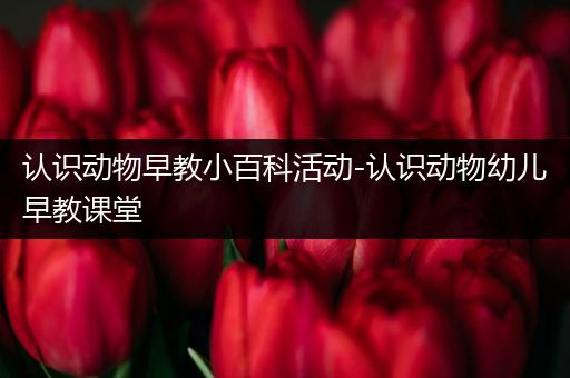 认识动物早教小百科活动-认识动物幼儿早教课堂