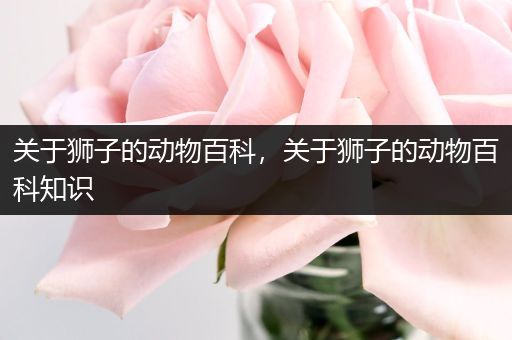 关于狮子的动物百科，关于狮子的动物百科知识
