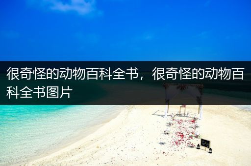 很奇怪的动物百科全书，很奇怪的动物百科全书图片