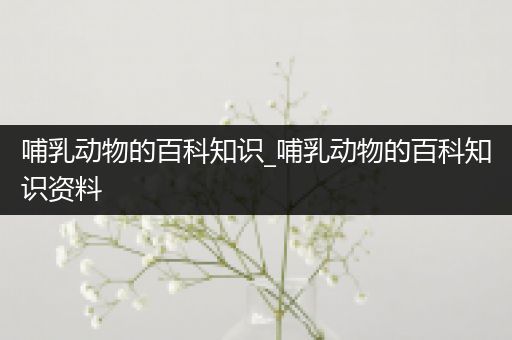 哺乳动物的百科知识_哺乳动物的百科知识资料