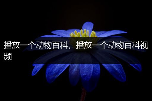 播放一个动物百科，播放一个动物百科视频