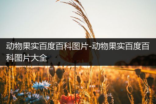 动物果实百度百科图片-动物果实百度百科图片大全