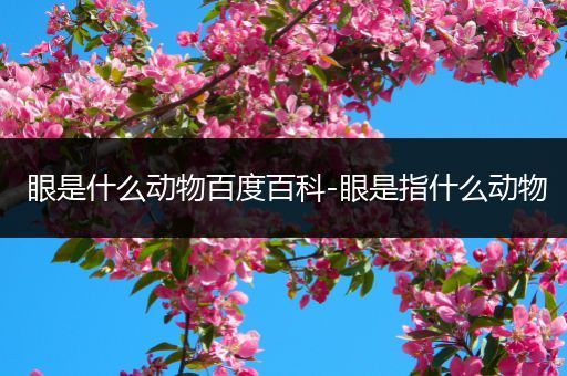 眼是什么动物百度百科-眼是指什么动物