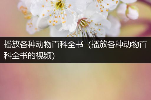 播放各种动物百科全书（播放各种动物百科全书的视频）
