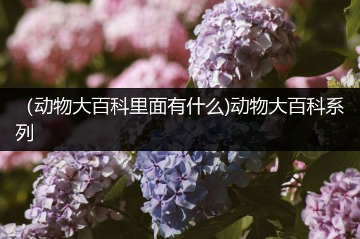 （动物大百科里面有什么)动物大百科系列