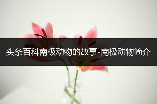头条百科南极动物的故事-南极动物简介