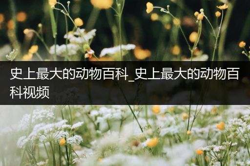 史上最大的动物百科_史上最大的动物百科视频
