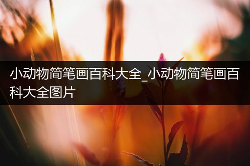 小动物简笔画百科大全_小动物简笔画百科大全图片