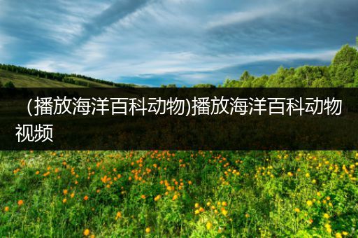 （播放海洋百科动物)播放海洋百科动物视频