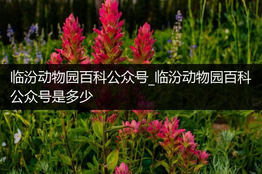 临汾动物园百科公众号_临汾动物园百科公众号是多少