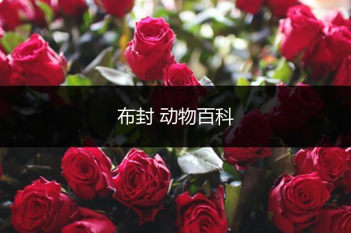 布封 动物百科