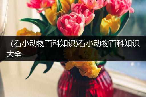 （看小动物百科知识)看小动物百科知识大全