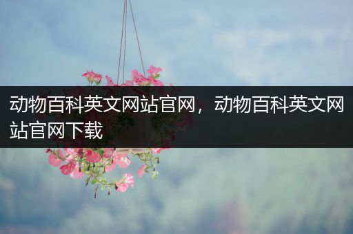 动物百科英文网站官网，动物百科英文网站官网下载