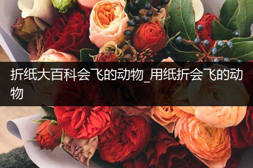 折纸大百科会飞的动物_用纸折会飞的动物
