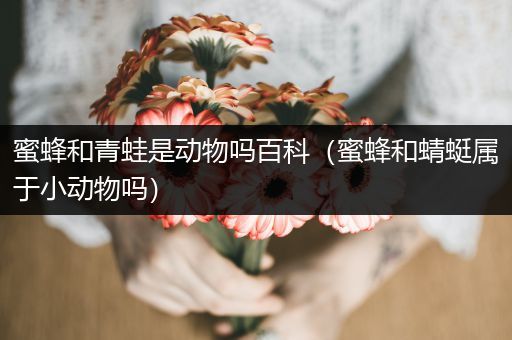 蜜蜂和青蛙是动物吗百科（蜜蜂和蜻蜓属于小动物吗）