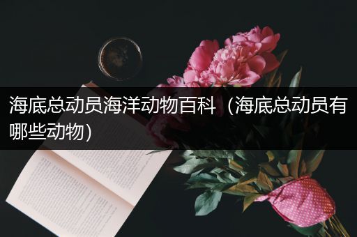 海底总动员海洋动物百科（海底总动员有哪些动物）