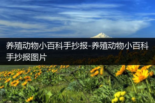 养殖动物小百科手抄报-养殖动物小百科手抄报图片