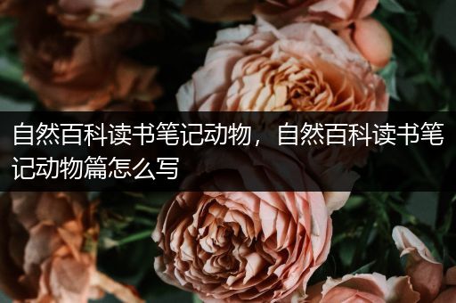 自然百科读书笔记动物，自然百科读书笔记动物篇怎么写