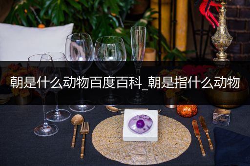 朝是什么动物百度百科_朝是指什么动物