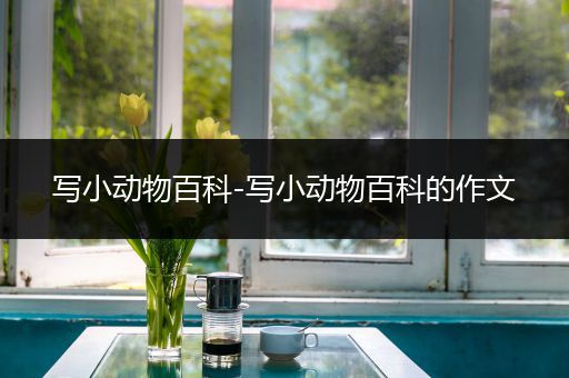 写小动物百科-写小动物百科的作文