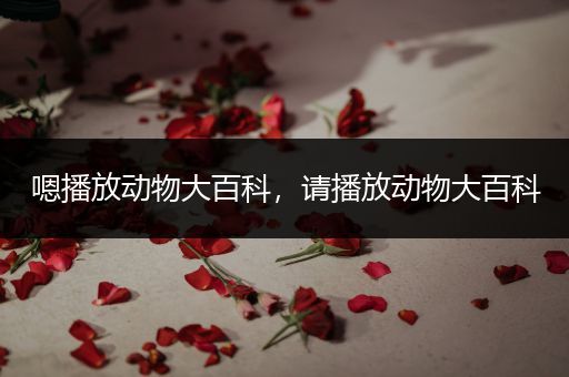 嗯播放动物大百科，请播放动物大百科