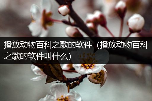 播放动物百科之歌的软件（播放动物百科之歌的软件叫什么）
