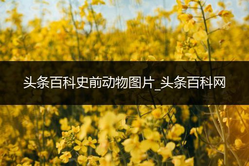 头条百科史前动物图片_头条百科网