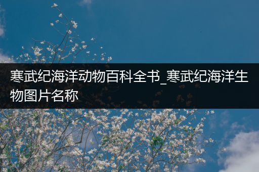 寒武纪海洋动物百科全书_寒武纪海洋生物图片名称