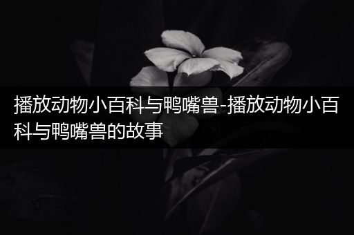 播放动物小百科与鸭嘴兽-播放动物小百科与鸭嘴兽的故事