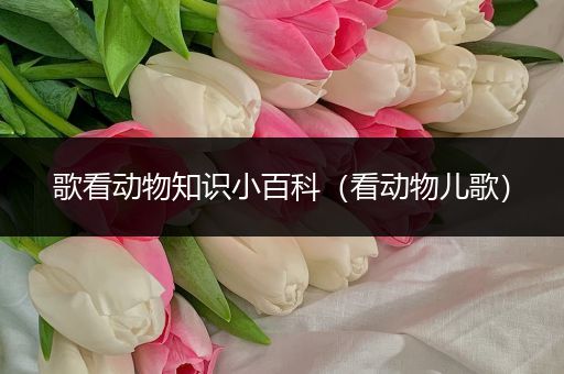 歌看动物知识小百科（看动物儿歌）