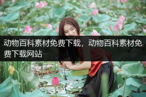 动物百科素材免费下载，动物百科素材免费下载网站