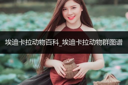 埃迪卡拉动物百科_埃迪卡拉动物群图谱