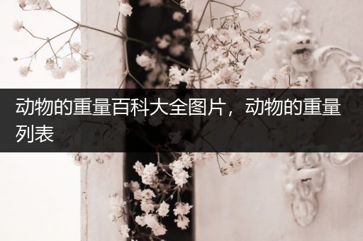 动物的重量百科大全图片，动物的重量 列表