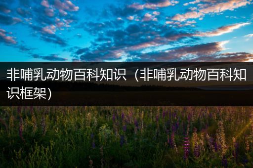 非哺乳动物百科知识（非哺乳动物百科知识框架）
