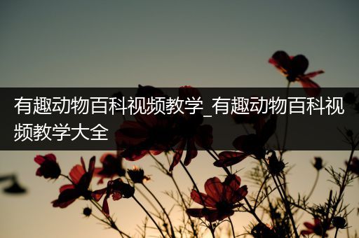 有趣动物百科视频教学_有趣动物百科视频教学大全