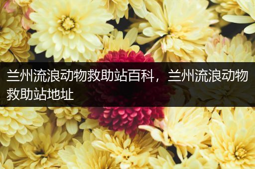 兰州流浪动物救助站百科，兰州流浪动物救助站地址