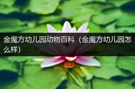 金魔方幼儿园动物百科（金魔方幼儿园怎么样）