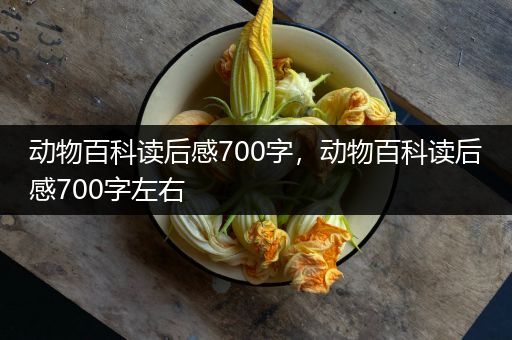 动物百科读后感700字，动物百科读后感700字左右