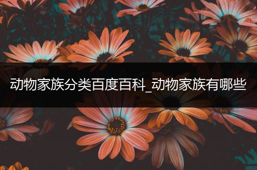 动物家族分类百度百科_动物家族有哪些